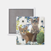 Niedliche Kätzchen Magnet (Vorderseite/Rückseite)