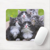 Niedliche Kätzchen Mousepad (Mit Mouse)