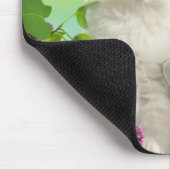 Niedliche Kätzchen Mousepad (Ecke)