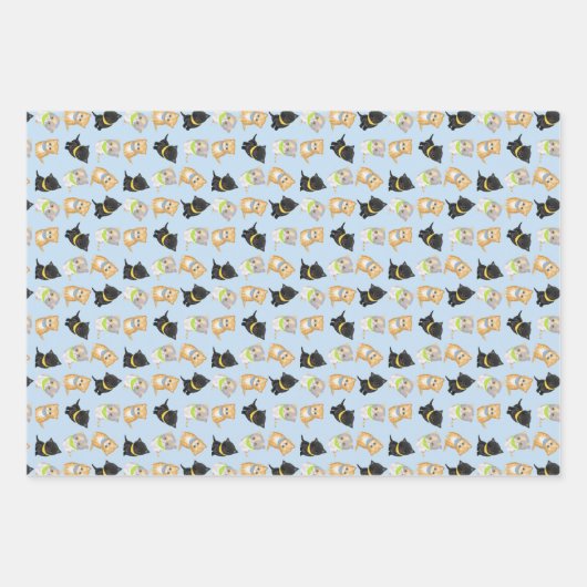 Niedliche Kätzchen Packpapier Geschenkpapier Set (Vorderseite)