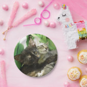 Niedliche Kätzchen Pappteller (Party)