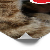 Niedliche Kätzchen Poster (Ecke)