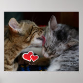 Niedliche Kätzchen Poster (Vorne)