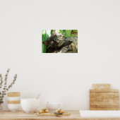 Niedliche Kätzchen Poster (Küche)