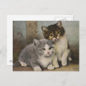 Niedliche Kätzchen Postkarte (Vorne/Hinten)