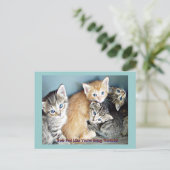 Niedliche Kätzchen Postkarte (Stehend Vorderseite)