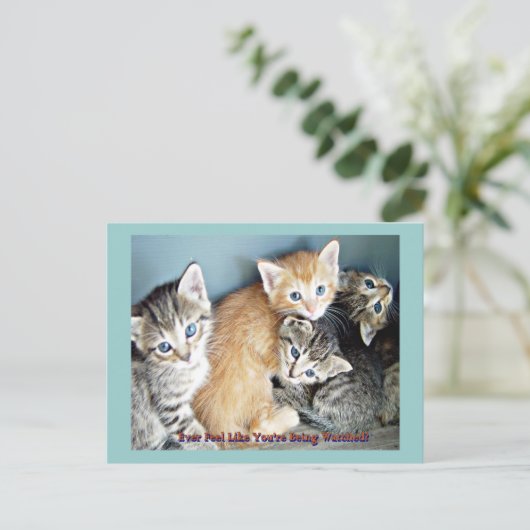 Niedliche Kätzchen Postkarte (Stehend Vorderseite)
