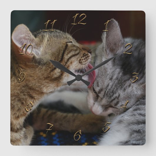 Niedliche Kätzchen Quadratische Wanduhr (Vorderseite)