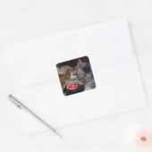 Niedliche Kätzchen Quadratischer Aufkleber (Umschlag)