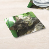 Niedliche Kätzchen Rechteckiger Pappuntersetzer (angewinkelt)