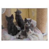 Niedliche Kätzchen-Schneidebrett Schneidebrett (Vorderseite)