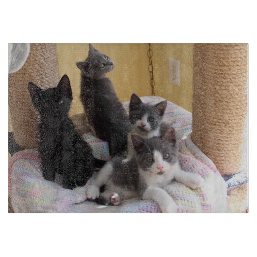 Niedliche Kätzchen-Schneidebrett Schneidebrett (Vorderseite)