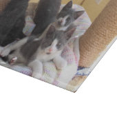 Niedliche Kätzchen-Schneidebrett Schneidebrett (Ecke)