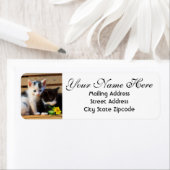 Niedliche Kätzchen und Blume Rücksendeadresse (Insitu)