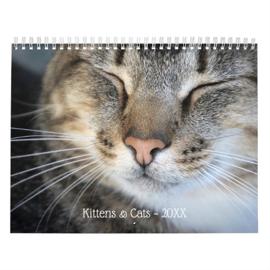 Niedliche Kätzchen und Katzen Foto Kalender (Titelbild)