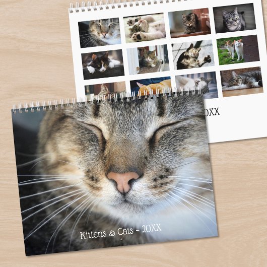 Niedliche Kätzchen und Katzen Foto Kalender