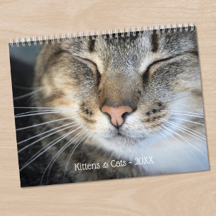 Niedliche Kätzchen und Katzen Foto Kalender