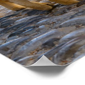 Niedliche Kätzchenfreunde wandern im selben Foto - Poster (Ecke)