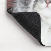 niedliche KätzchenMausunterlage Mousepad (Ecke)
