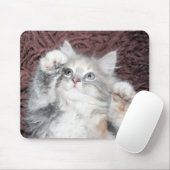 niedliche KätzchenMausunterlage Mousepad (Mit Mouse)