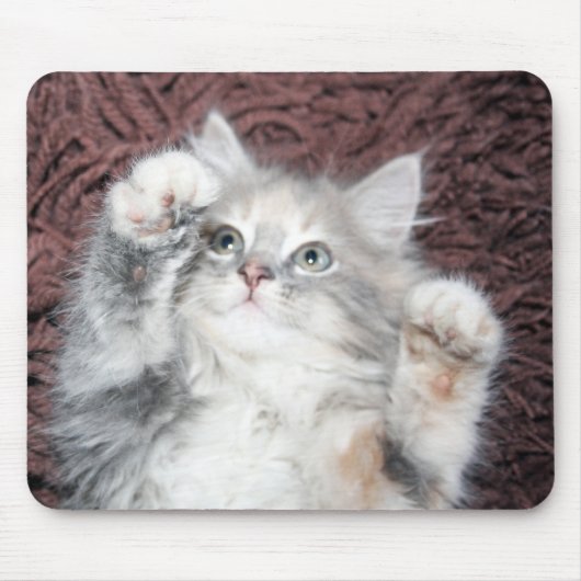 niedliche KätzchenMausunterlage Mousepad (Vorne)