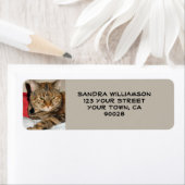 Niedliche Katze (Insitu)