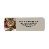 Niedliche Katze (Vorne)