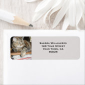 Niedliche Katze (Insitu)