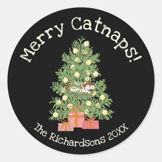 Niedliche Katze auf Weihnachtsbaum frohe Catnaps! Runder Aufkleber (Vorderseite)