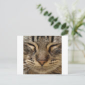 Niedliche Katze bei ZooTees Postkarte (Stehend Vorderseite)