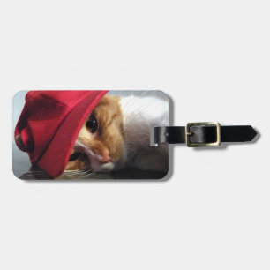 Niedliche Katze, die roten Kappen-Gepäck-Umbau Gepäckanhänger