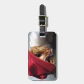 Niedliche Katze, die roten Kappen-Gepäck-Umbau Gepäckanhänger (Vorderseite vertikal)