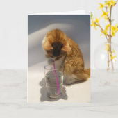 Niedliche Katze, die von Stroh-alles Gute zum Karte (Gelbe Blume)