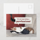 Niedliche Katze "Es ist nicht einfach, ein Fachman Postkarte (Vorne/Hinten)