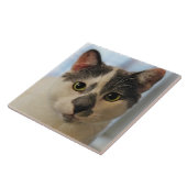 Niedliche Katze Fliese (Seite)