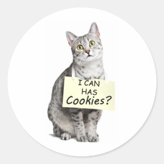 Niedliche Katze frage, dass ich Cookies haben kann Runder Aufkleber