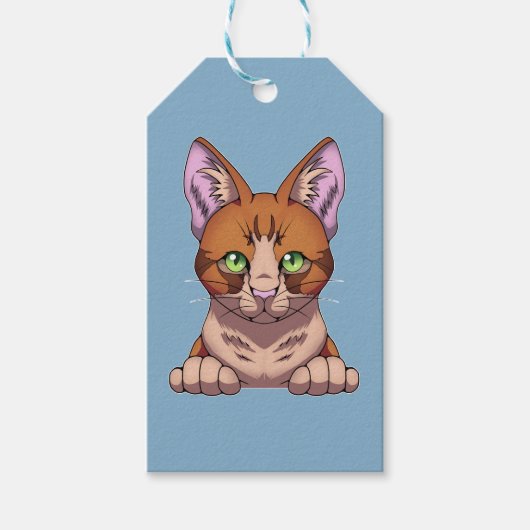 Niedliche Katze Geschenkanhänger (Vorderseite)