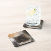 Niedliche Katze Getränkeuntersetzer (Rechte Seite)