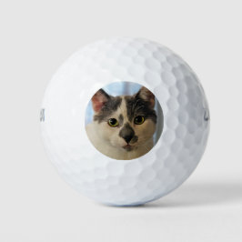 Niedliche Katze Golfball