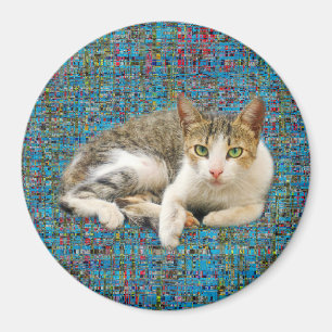Niedliche Katze im abstrakten Hintergrund Magnet