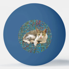 Niedliche Katze im abstrakten Hintergrund Tischtennisball