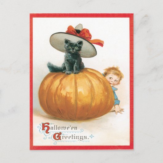 Niedliche Katze im Hut Vintage Postkarte (Vorderseite)