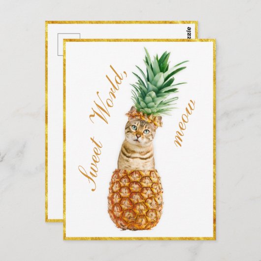 Niedliche Katze in Ananas - Funny Meow Kitty Postkarte (Vorne/Hinten)