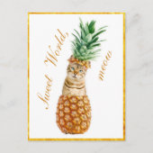 Niedliche Katze in Ananas - Funny Meow Kitty Postkarte (Vorderseite)