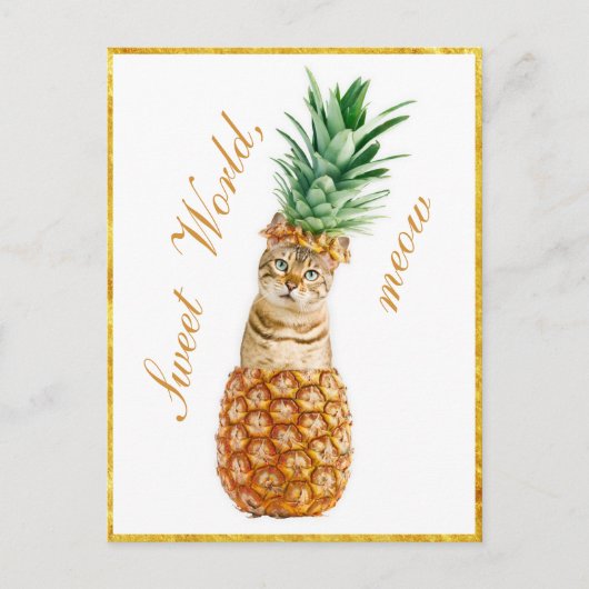 Niedliche Katze in Ananas - Funny Meow Kitty Postkarte (Vorderseite)