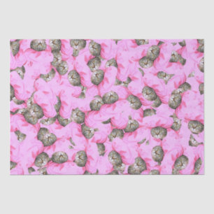 Niedliche Katze in einem rosa Muster Seidenpapier