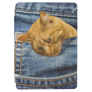 Niedliche Katze in Jeans Tasche lustige Illusion iPad Air Hülle