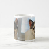 Niedliche Katze Kaffeetasse (Mittel)