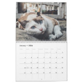 Niedliche Katze Kalender (Jan 2026)