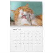 Niedliche Katze Kalender (Feb 2027)